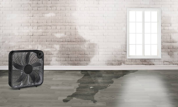  Portage, WI Water damage restoration Pros