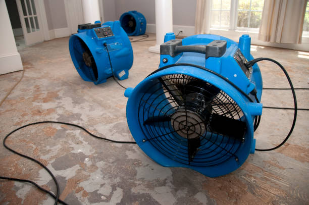 Best Professional water damage repair  in Portage, WI