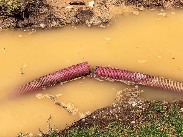Best Residential water damage restoration  in Portage, WI