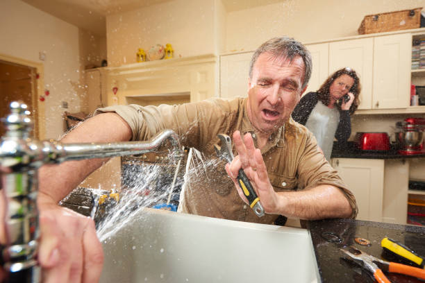 Best Flood restoration services  in Portage, WI